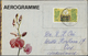 Delcampe - GA Indonesien: 1950/95 (ca.), The Enormous Stock/research Collection Of Airletters And Officially Airle - Indonésie