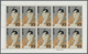 Delcampe - ** Japan: 1937/66, Lot Mint Never Hinged MNH: Part Sheets Of 1st Showa 3 S.-50 S. Or 1942 1st Anniversa - Autres & Non Classés