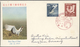 Delcampe - Japan: 1949/2004 (ca.) Inc. Some Pre-WWII, 1000s Of FDC In Large- (22) Or Small Cover Books (16), Ma - Autres & Non Classés