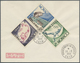 Delcampe - Br Frankreich: 1925/1962, Frankreich Und Kolonien, Partie Von Ca. 57 Belegen, Dabei Dekorative Flugpost - Oblitérés