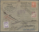 Delcampe - Br Frankreich - Portomarken: 1850/1980 (ca.), Insufficiently Paid Domestic Mail, Holding Of Apprx. 230 - 1859-1959 Briefe & Dokumente