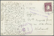 Br Irland: 1940/1945, CENSORED MAIL WWII, Very Attractive Lot With 10 Irish Covers And 5 Covers Incomin - Lettres & Documents