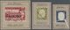 O/* Italien: 1855/1924 (ca.), Italy/Area, Specialised Assortment Of 55 Stamps Showing Varieties/speciali - Marcophilie