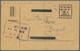 GA Jugoslawien: 1919/1920, Lot Of Ca. 15 Postal Stationery With Interesting Overprints, Incl. Michel-No - Lettres & Documents