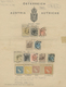 O/Br/*/(*) Österreich: 1850/1880, Reichhaltiger, Teils Spezialisierter Sammlungsposten Auf Blättern Im Ringalbu - Neufs