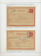 Delcampe - GA/Br/ Österreich - Portomarken: 1900/1918, Ausstellungsmäßig Aufgemachte Und Betextete Sammlung Von Weit ü - Taxe