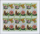 ** Thematik: Flora, Botanik / Flora, Botany, Bloom: 1973, Burundi. Progressive Proof (6 Phases) For The - Altri & Non Classificati