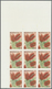 ** Thematik: Flora, Botanik / Flora, Botany, Bloom: 1988, NICARAGUA: Flowers And Plants Complete Set Of - Other & Unclassified