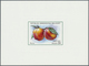 (*) Thematik: Flora-Obst + Früchte / Flora-fruits: 1992, MADAGASKAR: Früchte Kompletter Satz Mit Sieben - Obst & Früchte