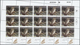 ** Thematik: Tiere-Eulen / Animals-owls: 1987, Israel. Complete Miniature Sheet Of 15 For The 40a Value - Hiboux & Chouettes