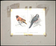 Thematik: Tiere-Singvögel / Animals-singing Birds: 1981, Aitutaki: BIRDS, Accepted Drawing "Braunbru - Songbirds & Tree Dwellers