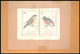 Thematik: Tiere-Vögel / Animals-birds: 1981, Aitutaki: BIRDS, Accepted Drawing "Gelbbauchdickkopf (P - Other & Unclassified