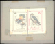 Thematik: Tiere-Vögel / Animals-birds: 1981, Aitutaki: BIRDS, Accepted Drawing "Rotstirfächerschwanz - Andere & Zonder Classificatie