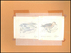 Thematik: Tiere-Vögel / Animals-birds: 1981, Aitutaki: BIRDS, Accepted Drawing "Kleiner Goldregenpfe - Other & Unclassified