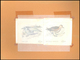 Thematik: Tiere-Vögel / Animals-birds: 1981, Aitutaki: BIRDS, Accepted Drawing "Kleiner Goldregenpfe - Andere & Zonder Classificatie