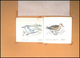 Thematik: Tiere-Vögel / Animals-birds: 1981, Aitutaki: BIRDS, Accepted Drawing "Kleiner Goldregenpfe - Andere & Zonder Classificatie