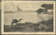 Br Ägypten: 1900-1914: Group Of Five Picture Postcards Sent To The U.S.A., With Lovely Scenes And Views - 1915-1921 Brits Protectoraat