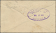 Br Victoria: 1910 (18.5.), Official OHMS Cover Of 'Department Of Agriculture' Bearing QV 2d. Violet And - Lettres & Documents