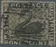 O Westaustralien: 1854, 1d Black, Rouletted 14, Lightly Cancelled With Roulettes Complete On All Sides - Lettres & Documents