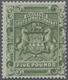 (*) Britische Südafrika-Gesellschaft: 1892: 5 £ Green Unused Without Gum, Fine - Non Classés