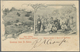 St. Helena: 1901, "P. A. Cronje", Original Signature Of Boer War General Cronje On Ppc "Kent Cottage - St. Helena