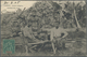 Br Tahiti: 1905. Picture Post Card (small Corner Bend) Of 'Local Native's, Papeete’ Addressed To France - Tahiti