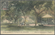 Br Tahiti: 1906. Picture Post Card Of 'Place Du Gouvernment A Papeete' Bearing Oceanie Yvert 1, 1c Blac - Tahiti