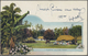 GA Tonga: 1908 (20.3.), Native Tree 1d Red/black Pictorial Stat. Postcard Used From NUKUALOFA To Hambur - Tonga (...-1970)