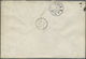 Br Vereinigte Staaten Von Amerika: 1880, Cover Bearing 15c. Orange Tied By "ASTORIA NY 19/APR" Cds. To - Autres & Non Classés