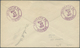 Br Vereinigte Staaten Von Amerika - Stempel: BROWNIES / GNOMES Violet Fancy Cancel + B/s "NARBERTH PA M - Marcofilie