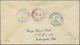 Br Vereinigte Staaten Von Amerika - Stempel: OLD FASHIONED PERSON CARRYS A BIG EGG (?) Fancy Cancel + B - Postal History