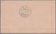 GA Zanzibar: 1901, "2 ½ ANNAS ZANZIBAR" On Stationery Letter Card 25 C Written By Dr. Clemens Denhardt - Zanzibar (...-1963)