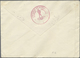 Br Ballonpost: 1936, 17.5., Poland, Balloon "Łódź", Cover With Balloon Vignette, Slight Marks. Only 175 - Montgolfières