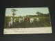 Cuba 1904 Picture Postcard To Austria Corner Fold *8812 - Covers & Documents