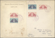 Französische Post In Der Levante: 1942, Air Force Emblem, Souvenir Sheet Perf. And Imperf., Each On - Autres & Non Classés