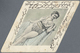 Österreich - Portomarken: 1901/1904, 2 Originelle Ansichtskarten Mit NACHPORTO, 1x Holzkarte Von Neu - Taxe
