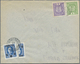 Br Österreich - Portomarken: 1917, 2 Unterfrankierte Briefe Mit NACHPORTO, 1x In Wien Mit 25 H Belegt U - Strafport