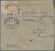 Br Russland - Post Der Bürgerkriegsgebiete: Nordwest-Armee: 1919, 10 K. Blue And Horizontal Pair 20 K. - Other & Unclassified