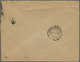 Br Russland - Besonderheiten: 1919. Censored Envelope (roughly Opend, Flap Missing) Written From The Al - Autres & Non Classés