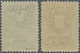 ** San Marino: 1910, 1c. Brown And 15c. Slate On Yellowish Paper, Two Values Unmounted Mint, 15c. Some - Neufs