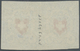 /(*) Schweiz: 1850: Paar 5 Rp. Rayon I Hellblau/rot, Typen 23+24 Vom Stein C1 (LO), Ringsum Breitrandig M - Ongebruikt
