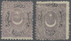 * Türkei: 1873, Two 10 Pa. Greylilac Two Mint Stamps Showing Different Overprint Types, Perf 12 1/2, M - Brieven En Documenten