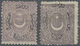 * Türkei: 1873, Two 10 Pa. Greylilac Two Mint Stamps Showing Different Overprint Types, Perf 12 1/2, M - Lettres & Documents