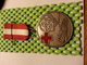 Medaille  / Medal - Van Tin Van De Rode Kruis Bloesemtocht Geldermalsen - The Netherlands - Medizin