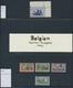 Delcampe - **/Br Dt. Besetzung II WK - Belgien: Flämische Und Wallonische Legion: Beide Gebiete Postfrisch Komplett M - Occupazione 1938 – 45