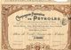 1903 VOIR HISTORIQUE TOTAL CIE FRANCAISE DE PETROLES 1903 PARIS VOIR SCANS+HISTORIQUE - Pétrole