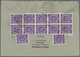Br Alliierte Besetzung - Gemeinschaftsausgaben: 1946, 6 Pf Purpurviolett Ziffer, 14 Stück Als Portogere - Altri & Non Classificati