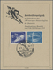 Br DDR: 1950, Erste Wintersportmeisterschaften Der DDR, Sondermarken Zu 12 Und 24 Pf Auf Einer Sonderst - Andere & Zonder Classificatie