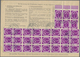 Br Bundesrepublik Deutschland: 1951, 5 Pf Posthorn, 30 Stück (6er- Und 24er-Block) Als Massen-MeF Auf F - Altri & Non Classificati