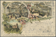 Delcampe - Ansichtskarten: Baden-Württemberg: BADEN: 1895-1910 (ca.), Sammlung Von Ca. 70 Ansichtskarten, Dabei - Altri & Non Classificati